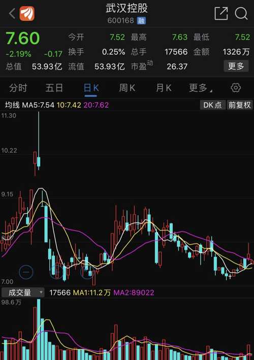 600168股票，中国平安的稳健之路与未来展望