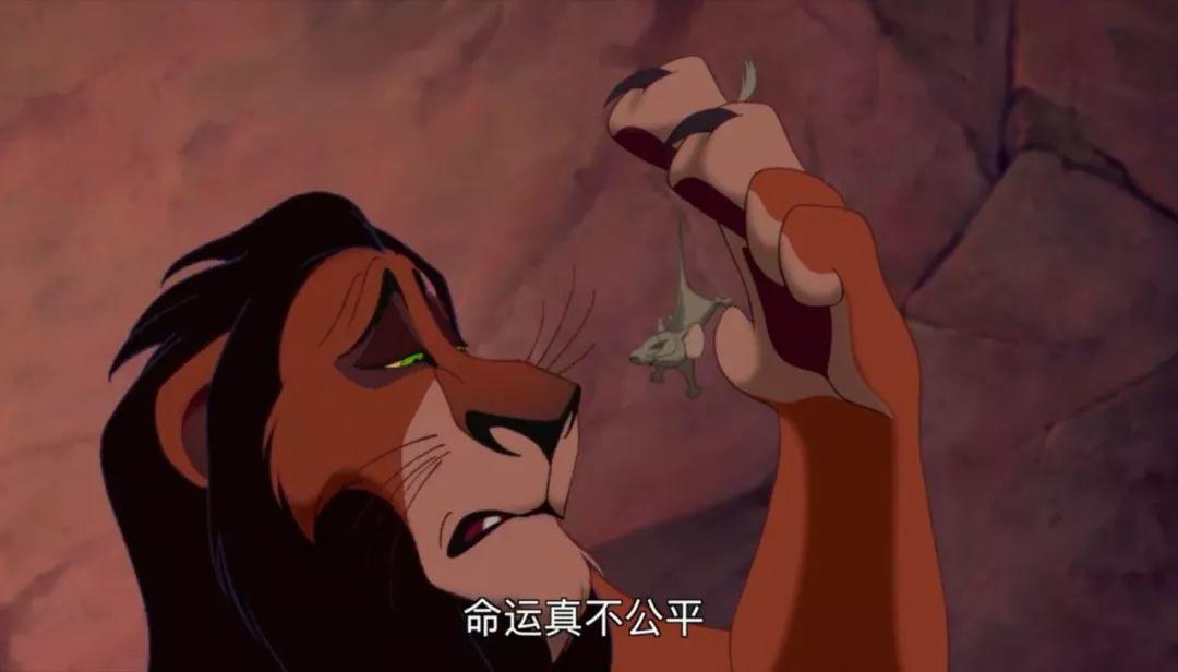 股票权证，投资的新视角与策略