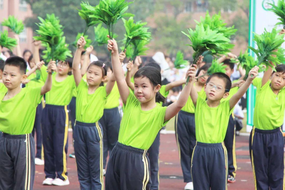 2023年度业绩说明会，8月21日盛大启幕，共绘未来发展蓝图