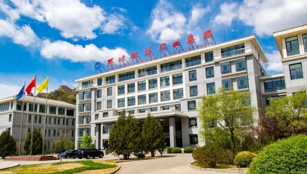 迎贺贡酒股票，传统与现代交融的资本新篇章