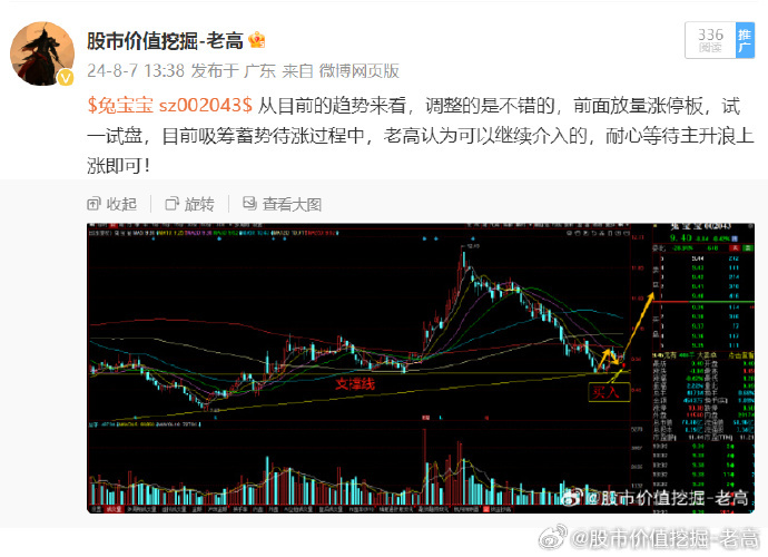 002043股票，从行业背景到投资价值深度剖析