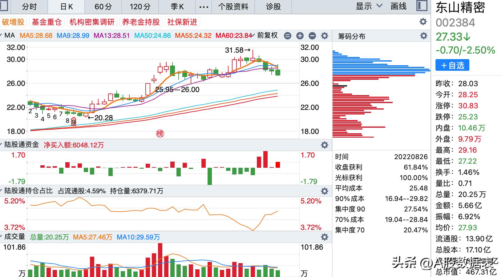 兴森科技股票，潜力与风险并存的科技股投资分析