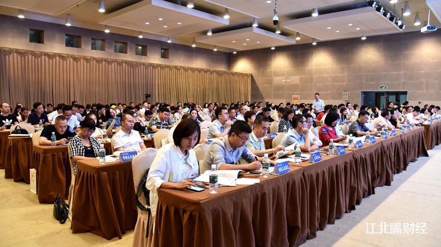 机电B股，中国资本市场中的独特机遇与挑战