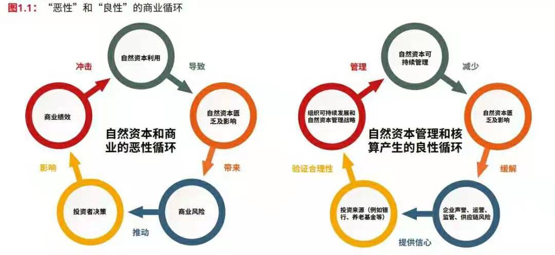构建社会融资体系、优化居民财富结构与强化资本市场功能的良性循环
