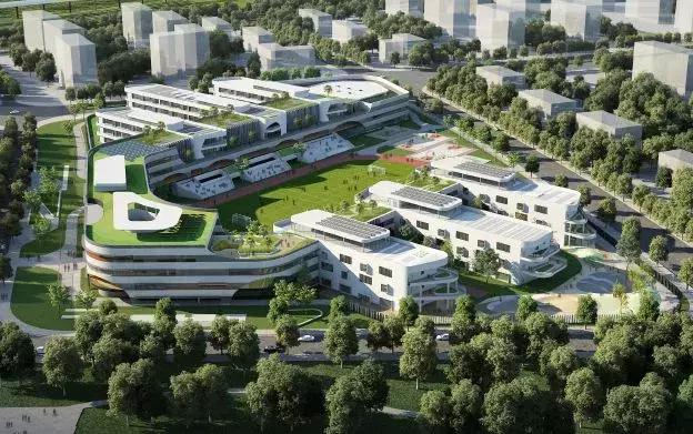 苏州科达，科技创新引领的股市新星
