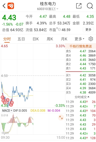 桂东电力股票，区域能源龙头的成长与挑战