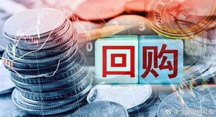 回购增持并举，ESG领先企业上市以来分红超6亿彰显价值