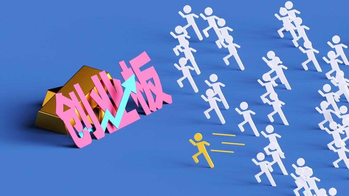 股东权益比率，企业财务健康与股东利益的保护伞