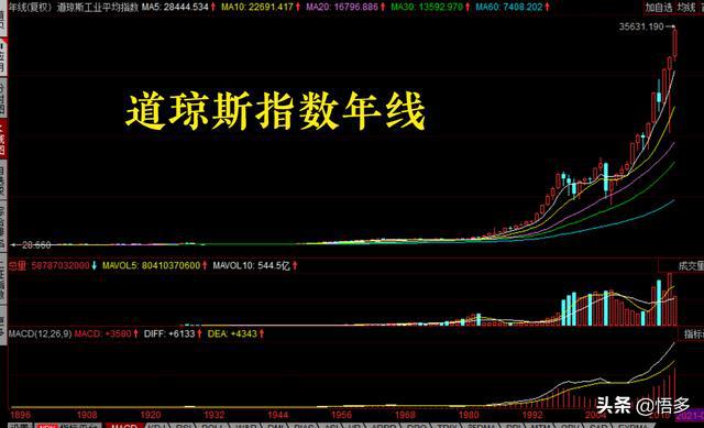 探秘新朋股份，股票行情的深度剖析与未来展望