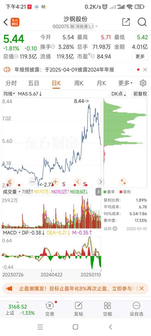 沙钢股票行情，市场动态与未来展望