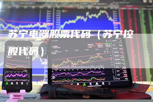 苏宁股票代码，透视中国零售巨头的资本市场之旅