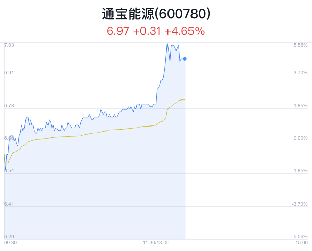 探秘通宝能源股票，绿色能源的未来之选