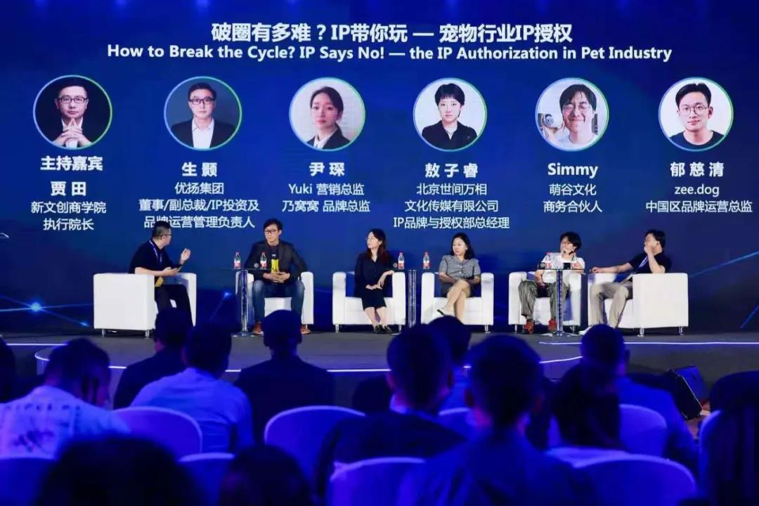揭秘金刚玻璃股票，从行业新秀到市场宠儿的蜕变之路