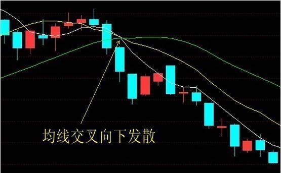 探索投资智慧，天才股票网—解锁股市成功的密钥