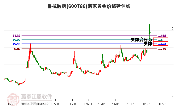 鲁抗股票，医药行业的潜力股与市场波动下的机遇