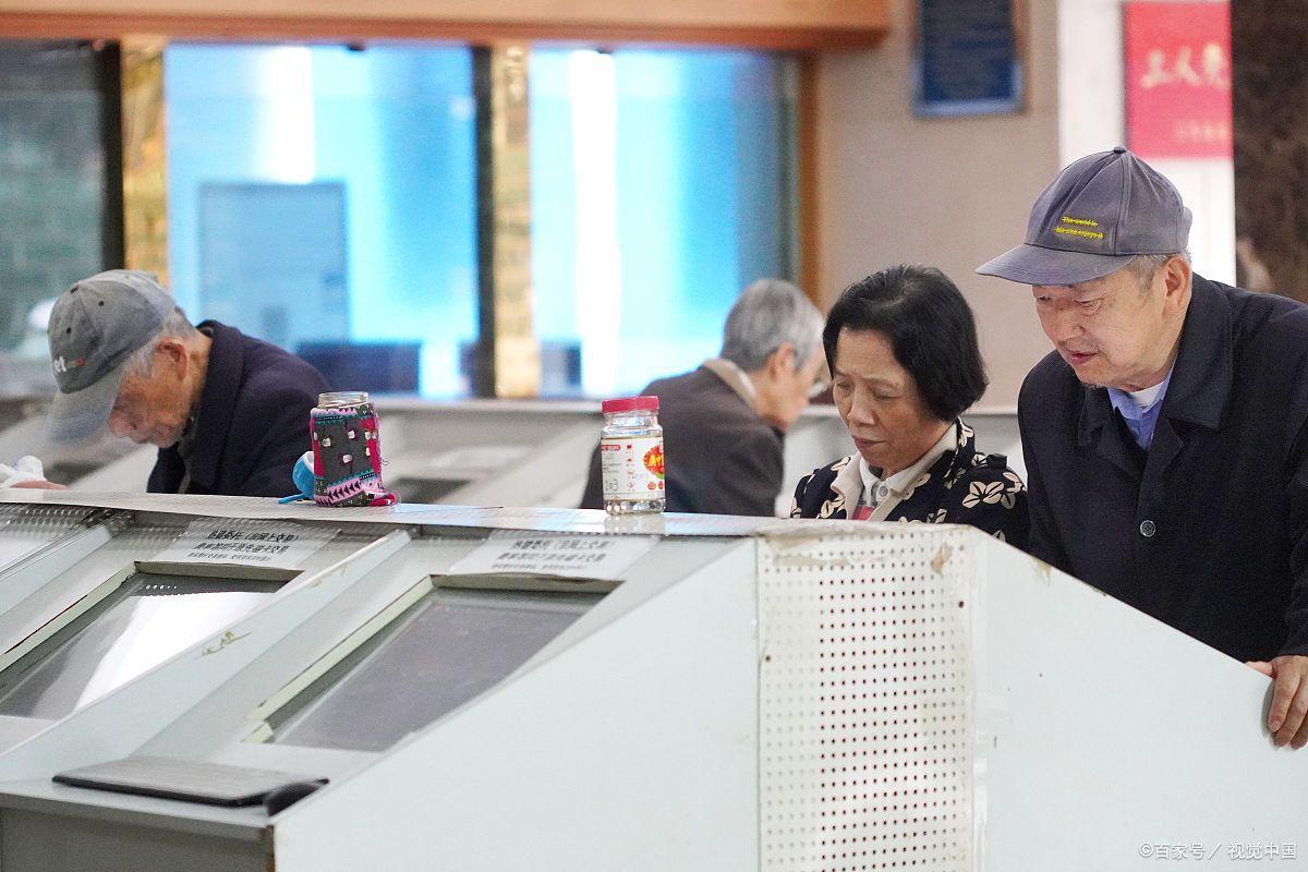 今日股市大盘行情深度解析，波动中的机遇与挑战