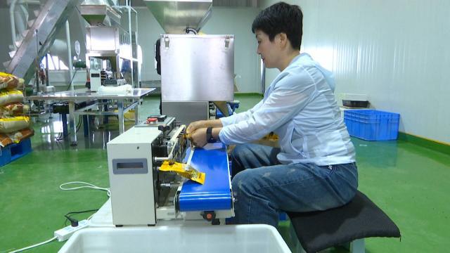 天津某企业内部股票分红公告深度解读