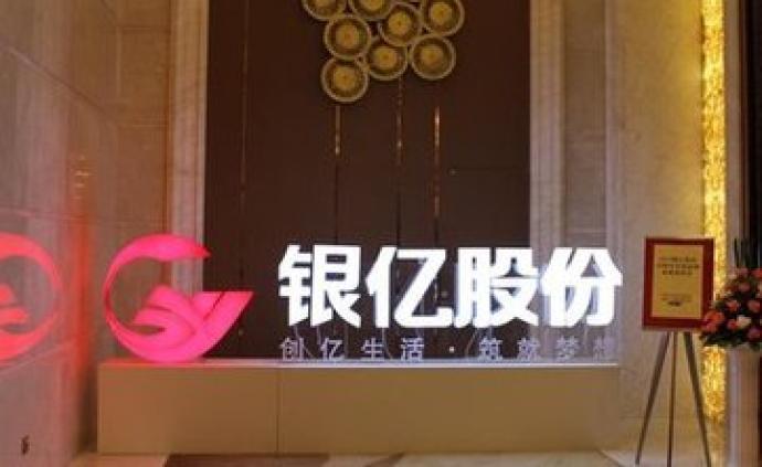 银亿股份（000981）转型之路的挑战与机遇
