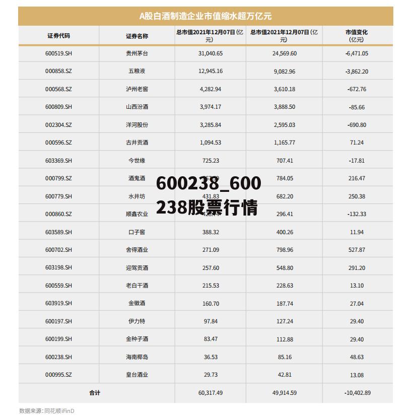 600238股票，行业龙头的崛起与挑战