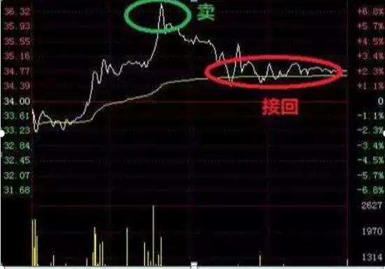 股市浮沉中的股海牧童，智慧与勇气的交响曲