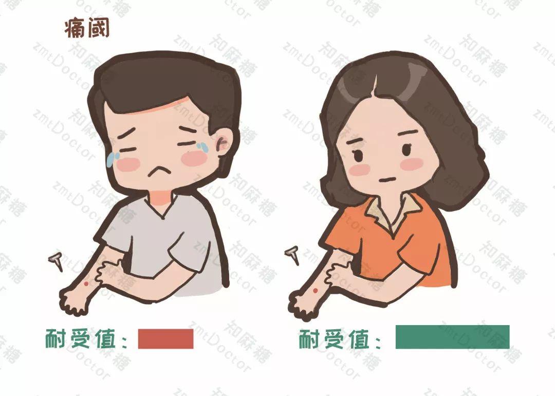 探索开源证券炒股软件，下载指南与深度解析