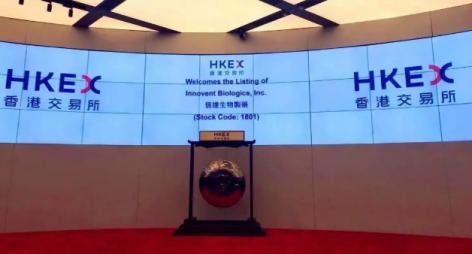 国投资本股票最新动态，稳健增长与市场展望