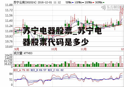 苏宁股票代码，透视中国零售巨头的资本市场之旅