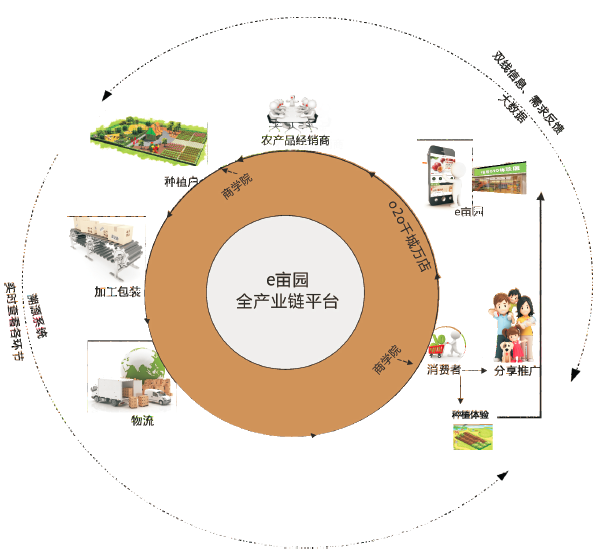 地产水果产业强链延链，助力果农增收的新篇章