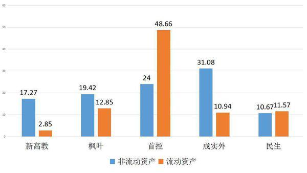 基期股票市价总值，透视市场脉动与投资策略的晴雨表