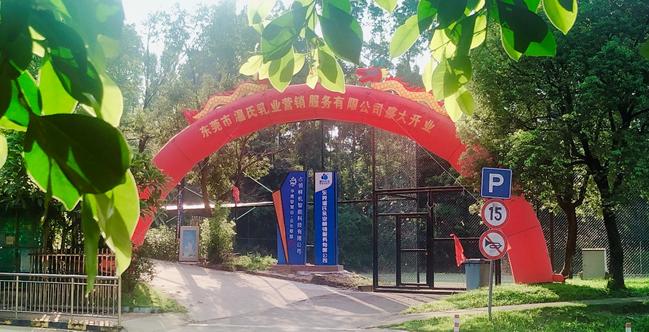 300498股票，科技蓝海中的创新先锋