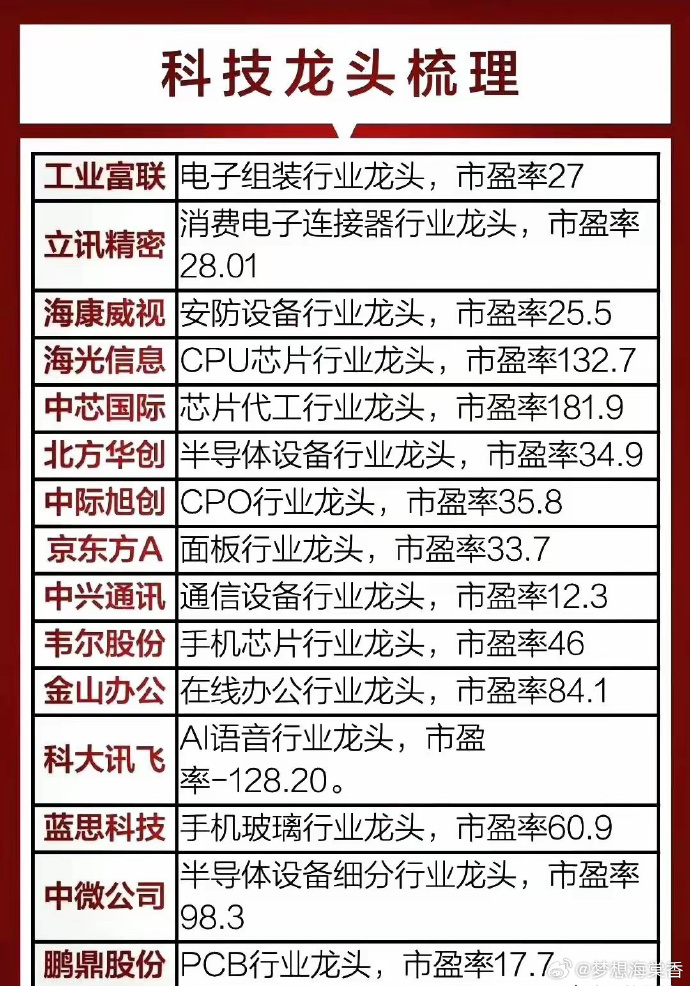 科技股龙头，引领未来经济新引擎的璀璨之星