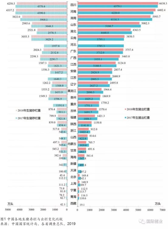 9月份最新能繁母猪数据解析，透视生猪产业现状与未来趋势