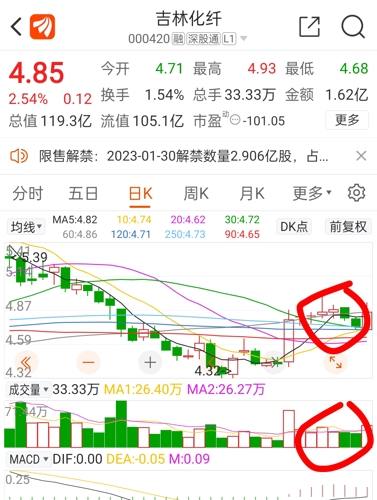 吉林化纤股票的现状与展望