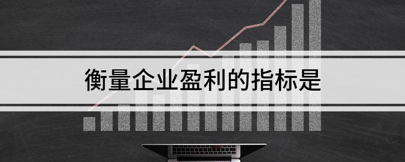 股东权益报酬率，衡量企业盈利能力的关键指标