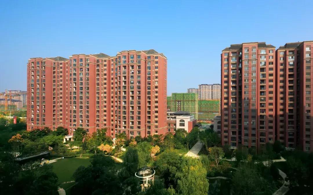 炒股新手指南，如何通过专业软件实现财富增值