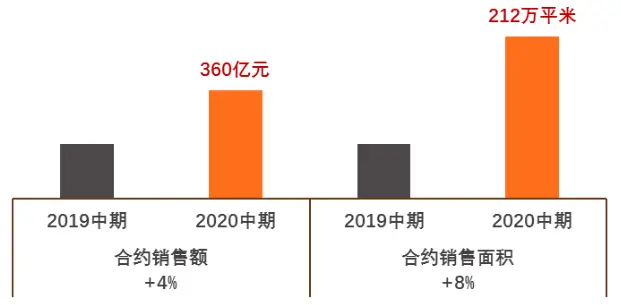 天地源股票，稳健增长背后的深度剖析