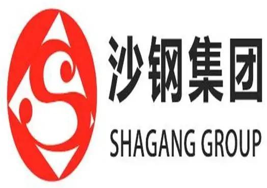 沙钢股份，钢铁行业的坚韧与未来展望