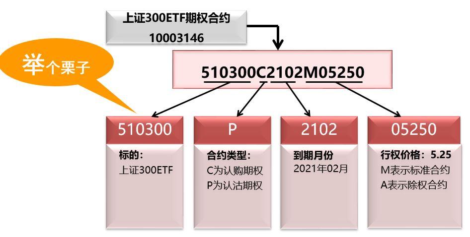 300ETF股票，中国创新成长的新引擎
