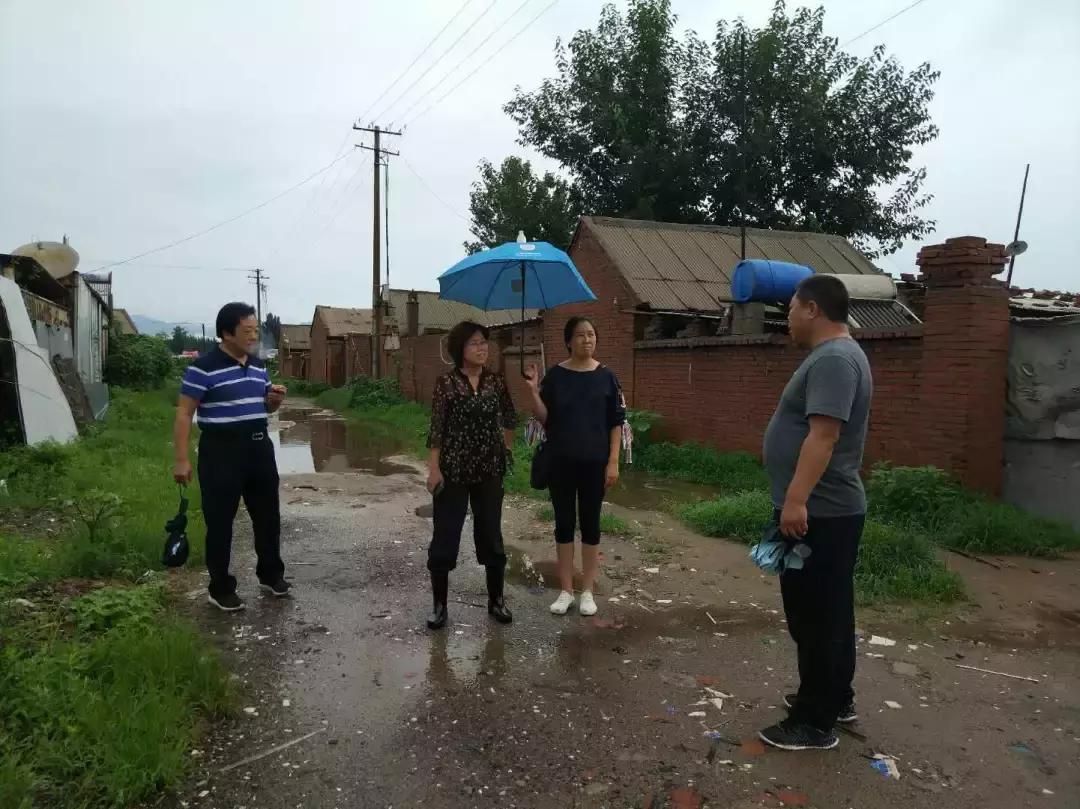 泰禾股票，风雨中的坚守与未来展望