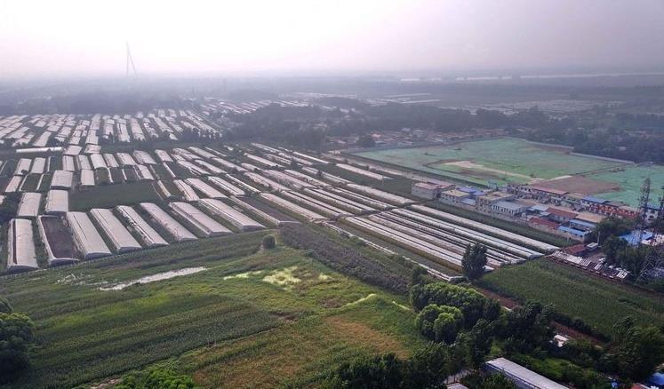 股票指数，市场晴雨表与投资风向标