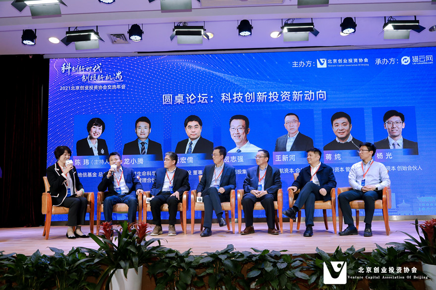300206股票，科技创新的领航者与投资者的新宠