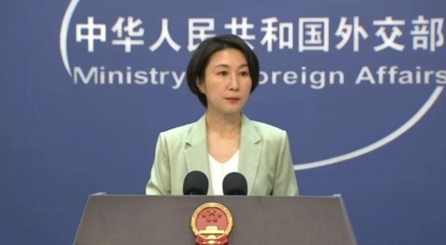 2024-2025财年中期收入增长17.8%策略、挑战与未来展望