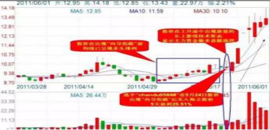 世贸股票，全球贸易与投资的新引擎