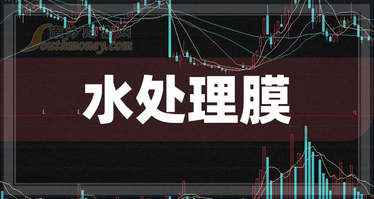 水处理股票龙头一览，绿色科技浪潮中的领航者