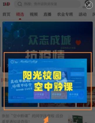 炒股必备，精选手机软件大揭秘