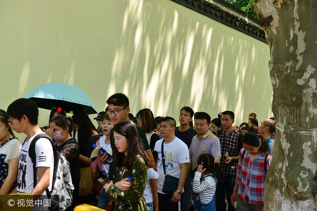 排队到4月的热门现象，透视社会热潮与民众心理