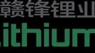 港股市场强势开局，三大指数高开高走，光伏、锂业、CXO板块表现抢眼