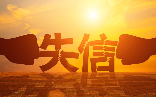 股票融资买入额，股市融资操作的深度解析