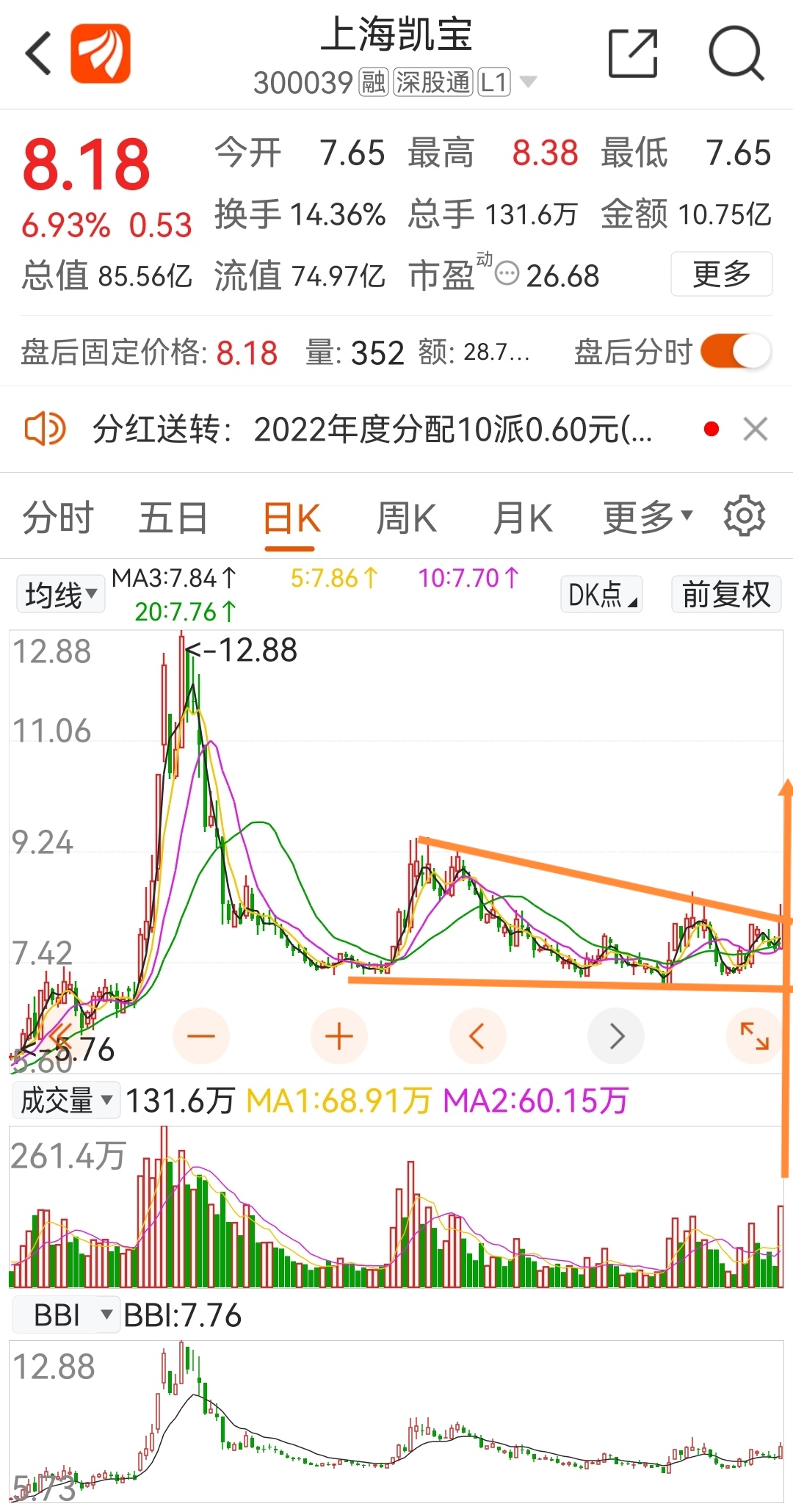探秘上海凯宝股票，从行业背景到市场表现