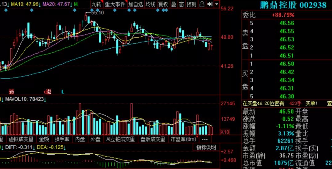 鹏鼎控股股票行情，科技蓝海中的稳健航行